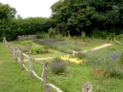 The Lavender Garden at Cockington Court. Wallpaper