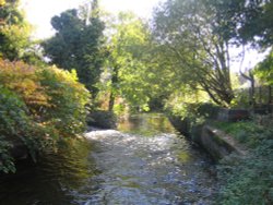 The River Wandle Wallpaper