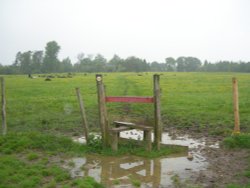 A day for wellies