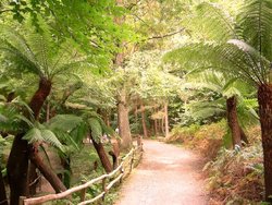 Groombridge Place Gardens, Wallpaper