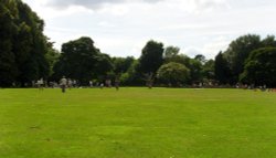 Hartsholme Country Park Wallpaper