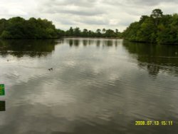 Hartsholme Country Park Wallpaper