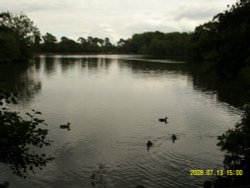 Hartsholme Country Park Wallpaper