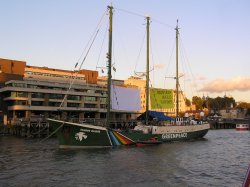 The Greenpeace Ship, Rainbow Warrior, moored on the Thames close to Tower Bridge Wallpaper