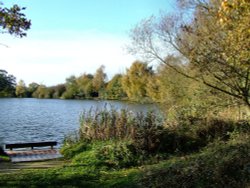 Eastrington pond on a chilly October morning Wallpaper