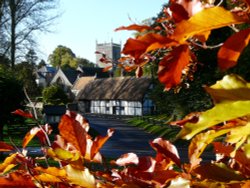 Autumn in East Hendred