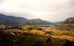 Views of County Cork Wallpaper