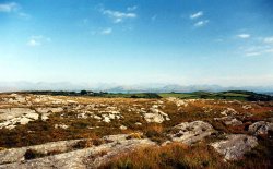 Views of County Cork Wallpaper