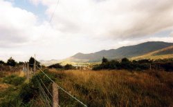 Views of County Cork Wallpaper