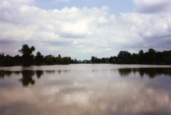 Hever Castle Lake Wallpaper