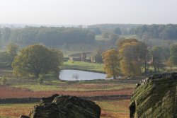 Bradgate Park Wallpaper