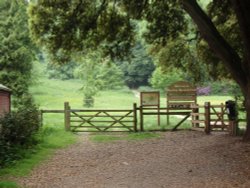 Rectory Wood and Field