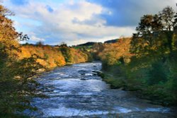 River Ure in Autumn Wallpaper