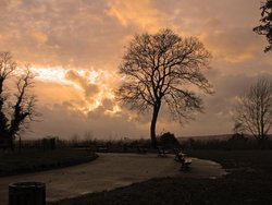 Windmill Hill Wallpaper