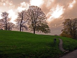 Windmill Hill Wallpaper