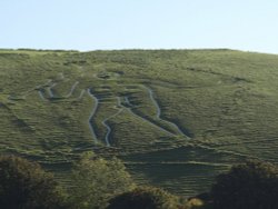 Cerne Abbas Giant Wallpaper