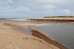 Creek near Titchwell beach Wallpaper