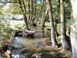 A beautiful riverbank walk from Ellerburn to Thornton le Dale North Yorkshire Wallpaper