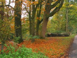 Hothersall Lane near Longridge Wallpaper