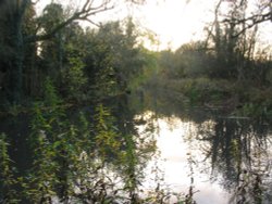 Walking the towpath Wallpaper