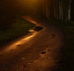 Autumn road Wallpaper