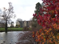 Wakehurst Place in November Wallpaper