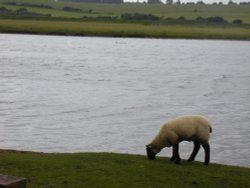 Nice scene near The Seven Sisters