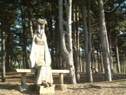 Scultures in Formby woods.