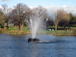 Boating Lake Gordon Gardens Gravesend Wallpaper