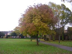 Broadgate Park Beeston Wallpaper