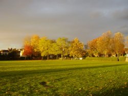 Dovecote Lane Park Wallpaper