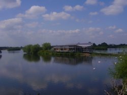 Attenborough Nature Reserve Wallpaper