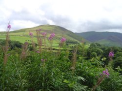 Whinlatter Pass Wallpaper