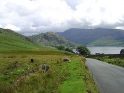 Near Buttermere Wallpaper