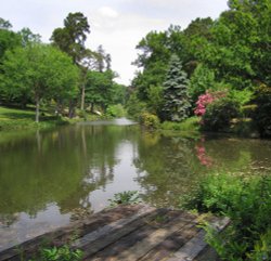 The lake at Leonardslee Gardens, Sussex Wallpaper