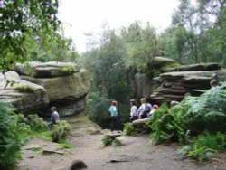 Brimham Rocks Country Park Wallpaper