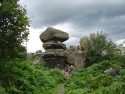 Brimham Rocks Country Park Wallpaper