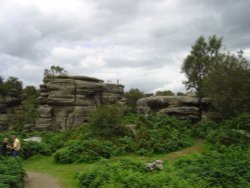 Brimham Rocks Country Park Wallpaper