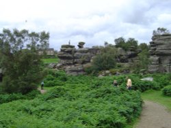 Brimham Rocks Country Park Wallpaper