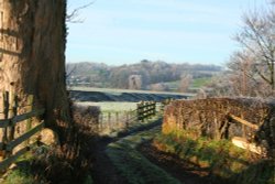 Boat House Lane Wallpaper