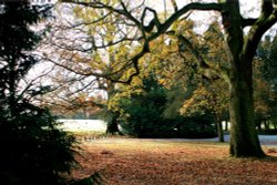 A frosty morning at Nidd Wallpaper