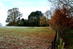 A frosty morning at Nidd Wallpaper