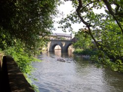 Rowing on the river Wear Wallpaper