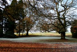 A frosty morning at Nidd