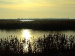 Low winter sunlight at Faxfleet Wallpaper