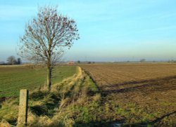 Looking north from the lane Wallpaper