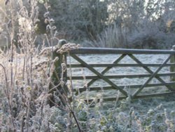 Early morning frost - 7.12.08