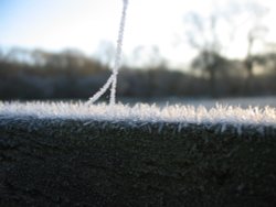 Frosted web strand Wallpaper