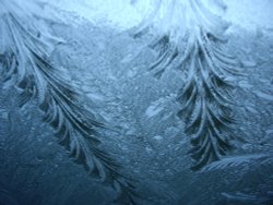 Frozen Windscreen