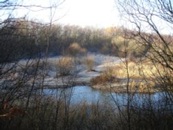 Frosty Morning in Beacon Wood Country Park, Bean Wallpaper